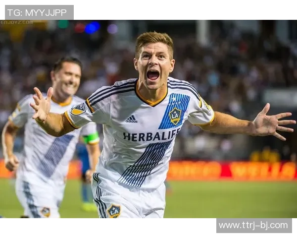 足球明星范佩琪的传奇人生与职业生涯回顾